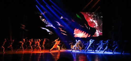 《岩石上的太阳》 舞台艺术造型策划如何点亮红色文旅新篇章